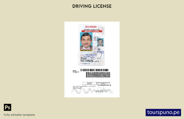 listo para imprimir el permiso de conducir de EE. UU. Illinois bajo plantilla